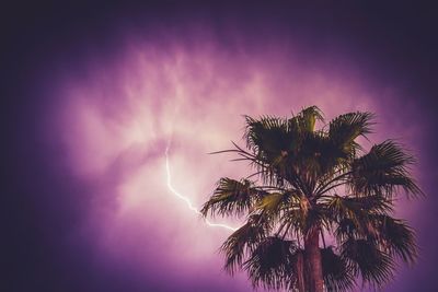 Low angle view of silhouette palm tree against sky during sunset