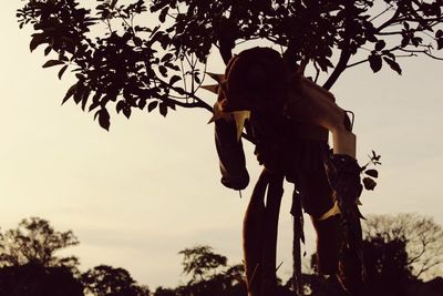 Low angle view of silhouette tree against sky