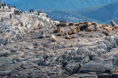 Scenic view of sea and rocks