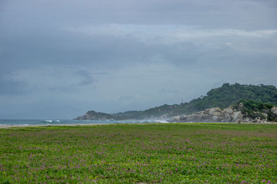 Scenic view of landscape and sea against sky