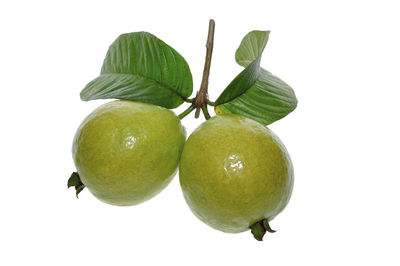 Close-up of fruits against white background