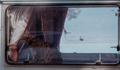 Portrait of woman seen through glass window