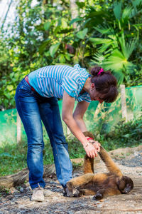 Happy young woman playing with monkey at rescue center