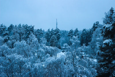 Snow covered trees in forest against sky