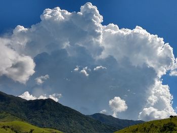 Low angle view of trees against sky