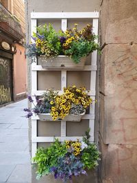 Close-up of potted plant against window of building