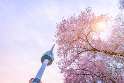 Low angle view of cherry blossom against sky