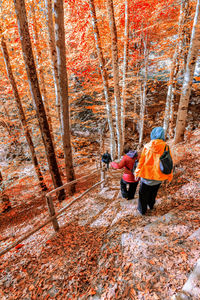 Rear view of people working in forest