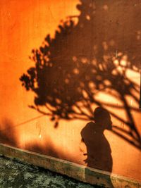 Shadow of woman on wall