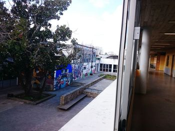 View of buildings along trees