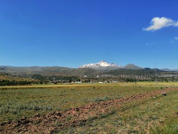 Scenic view of landscape against blue sky