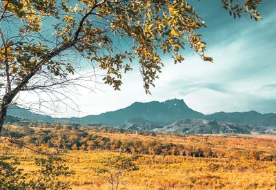 Scenic view of landscape against sky during autumn