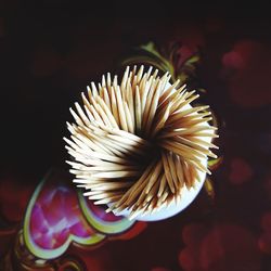 High angle view of multi colored flower on table