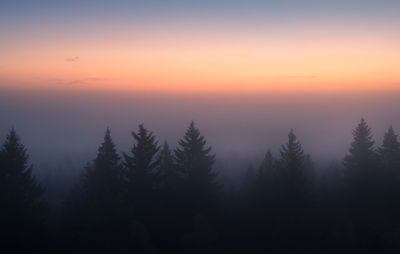 Silhouette trees against sky during sunset