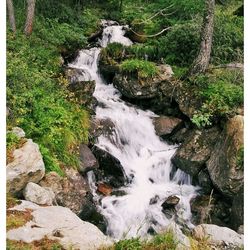 Stream flowing through rocks