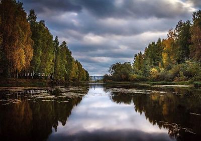 Reflection of trees in lake against sky