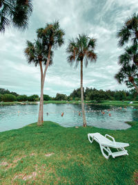 Scenic view of palm trees against sky