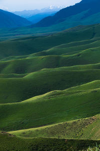 landscape
