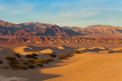 Scenic view of desert against sky