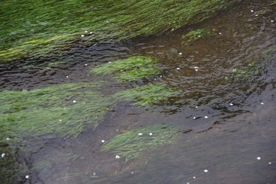 Full frame shot of water