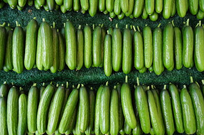 High angle view of cucumbers for sale at market stall