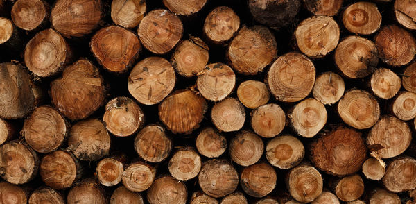 Full frame shot of logs