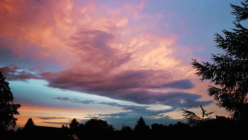Low angle view of silhouette trees against sky