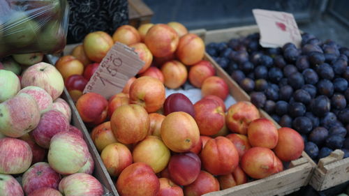 High angle view of fruits in containers at market for sale