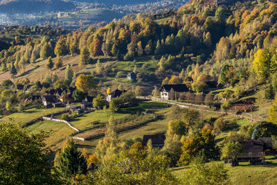 High angle view of trees and houses on mountain