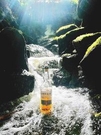 Scenic view of water flowing through tree