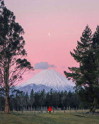 Person admiring the beautiful pastel sunset with the mountain and moon. new zealand 