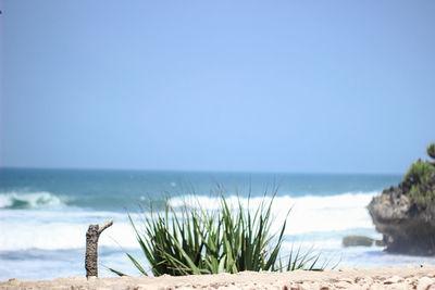 Scenic view of sea against clear sky