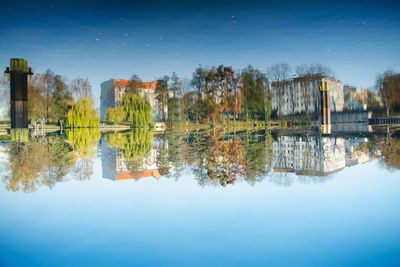 Reflection of trees in calm water