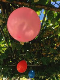 Low angle view of balloons against trees