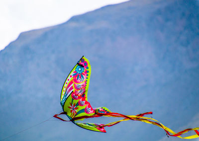 Close-up of multi colored dragon against sky