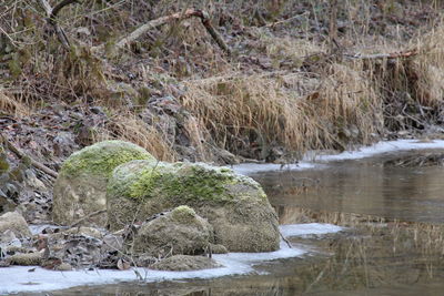 Scenic view of rocks during winter