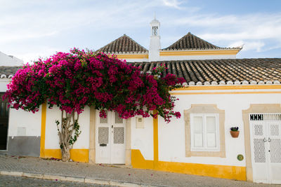 Flowers on building against cloudy sky