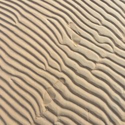 Full frame shot of sand dune