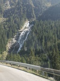 High angle view of road amidst trees in forest