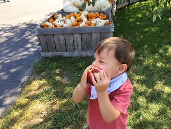 High angle view of boy eating apple on grass