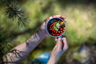 Unrecognizable woman hands holding touristic mug with hot herbal berry tea amidst twigs in forest