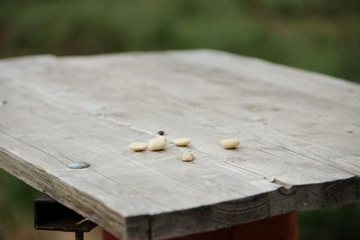 Close up of wood