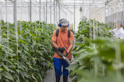 Young man working in greenhouse spraying fertilizer on plants