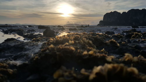 Rocks on beach against sky during sunset