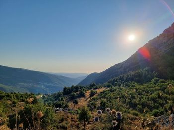mountain