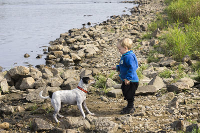 Full length of dog standing on shore