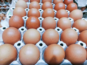 Close-up of eggs in crate