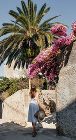 Rear view of young woman in summer dress touching beautiful pink flower in alley.