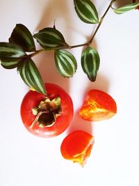 Directly above shot of fruits against white background