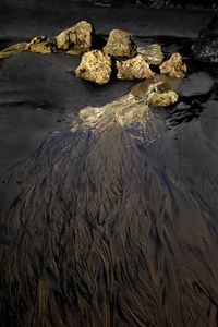 High angle view of rocks on shore